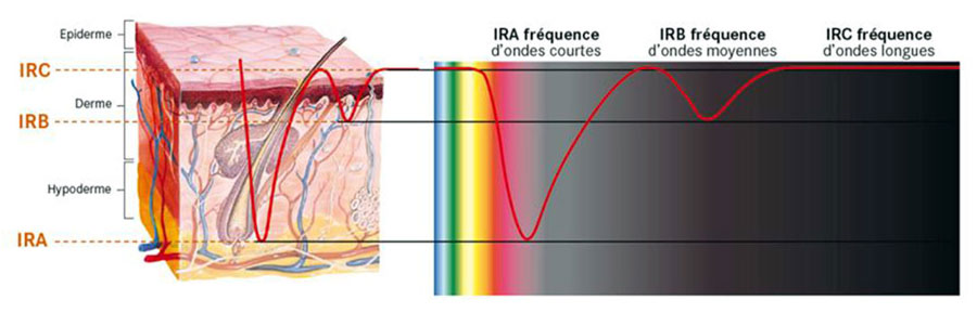 illustration de la pénétration des différentes longueurs d'onde de l'infrarouge dans la peau